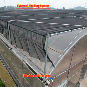 Giá rẻ dễ dàng cài đặt lớn một lớp PE Multi-span nông nghiệp thương mại thủy canh nhà kính - Product Image 3