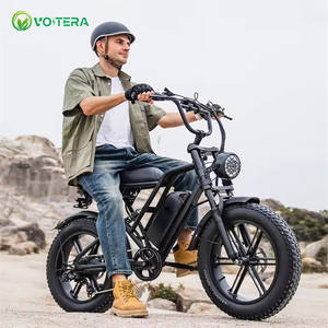 Vélo électrique VoltEra pour adultes, entrepôt américain, pneus larges, vélo de montagne, vélo de route, vélo cargo, vélo électrique de ville, vélo tout-terrain, vente en gros de vélos électriques au lithium - Product Image 6