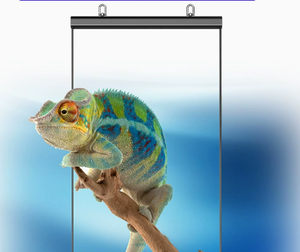 LED Flexible Transparent Screen Indoor <b>Wall</b> Mount Silver Color 1500 cd Brightness 170° Viewing Angle Advertising <b>Display</b> - Product Image 5