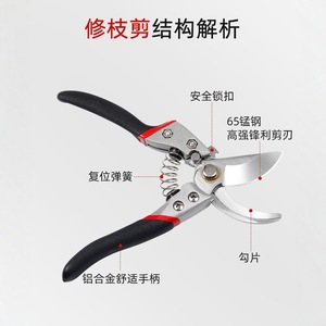 Nice Pruning Shears Stainless Steel 20-30 Mm Butterfly Handle For Branches Gardening - Product Image 2