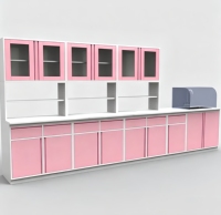 Armoire de traitement médical en acier inoxydable avec évier, armoire de rangement sur mesure, mobilier de laboratoire