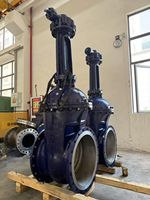 Válvula de Compuerta Criogénica para GNL de Acero Inoxidable 316L, 4 Pulgadas, Clase 150, Cono Extendido, -196 °F ° Servicio C