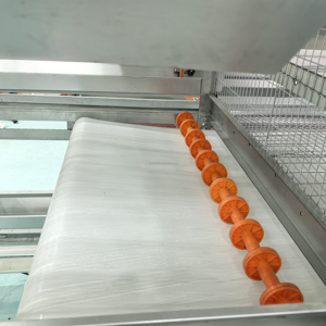 Cage à poulets automatique de type H pour poules pondeuses, avec ramassage automatique des œufs, <span class=keywords><strong>poulailler</strong></span> pour 15 000 oiseaux, 380V, économie de main-d'œuvre - Product Image 6