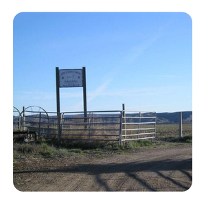 Lage Prijs Stalen Vee Hek Landbouwgrond Hek Barrière Met Horizontale En Verticale Pijp Paardenhek Metaal - Product Image 2