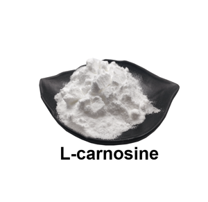 Capsule L-carnosina di alta qualità Private Label L-carnosina in polvere carnosina - Product Image 2