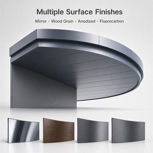Panneaux de mur rideau incurvés contemporains à surface miroir, solution écologique pour l'extérieur des bâtiments - Product Image 3