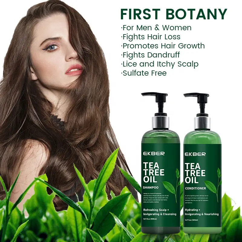 Offre Spéciale Oem produits de soins capillaires coréens shampooing revitalisant Combo huile d'arbre à thé shampooing revitalisant pour cheveux naturels et ensemble de shampooing