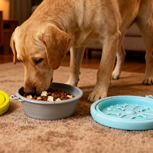 WEVI produk baru ramah lingkungan bepergian silikon mangkuk anjing pengumpan hewan peliharaan dapat dilipat portabel kucing air mangkuk untuk membawa luar ruangan - Product Image 1