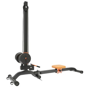 Vogatore per Uso Domestico Multifunzione Pieghevole Professionale Stazione di Allenamento Gantry Power - Product Image 3