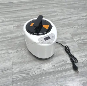 Sauna Steamer Portable 2.6L Steam Pot Generator with Remote Control