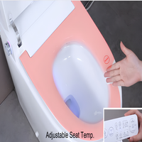 Toilette intelligente monobloc à ouverture et fermeture automatiques, avec bidet chauffant, massage, mode enfant, sans pression d'eau, vente en gros Chine