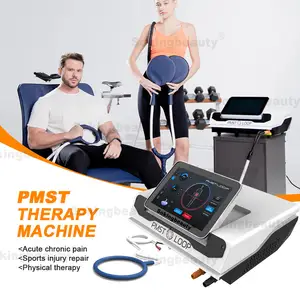 PMST LOOP PRO MAX 인간과 말 펄스 전자기장 Pemf 신체 통증 완화 말 부상을위한 자기 치료 장치