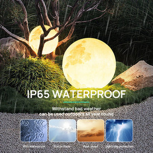 Lampes de jardin LED étanches IP65 à alimentation CC, décorations de pelouse en forme de lune 3D, lampes de sol en gros - Product Image 4
