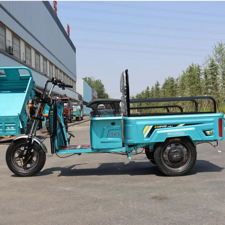 3 Wheels Cargo Motor Tricycle Right three-wheeled motorcycle freestyle tricycle tricycle Cargo