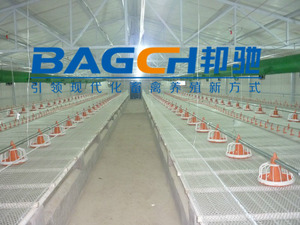 Sàn đá đen gà plasticslatfloor sàn đá đen Sàn Lưới sàn nhựa cho gia cầm trang trại - Product Image 4