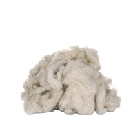 18-32mic 100% déchets de laine de mouton décapés cardés avec prix d'usine