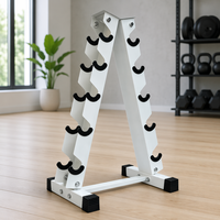 Support de rangement en acier thermolaqué à 5 niveaux pour 10 paires d'haltères en forme de A, idéal pour la maison, la salle de sport et l'équipement de fitness commercial