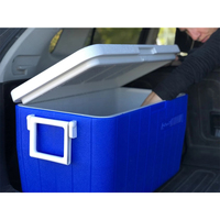Glacière de grande capacité 45L, robuste, prix d'usine, pour le poisson et la glace