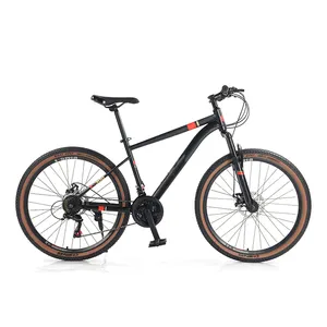 24/26 inç erkek dağ bisikleti üzerinde büyük indirim 21 hız karbon çelik bisiklet yetişkinler için on-Road kullanımı için