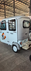 <span class=keywords><strong>Triciclo</strong></span> <span class=keywords><strong>Elettrico</strong></span> di Alta Qualità Estetica da 800W con Equipaggiamento Intelligente - Product Image 5