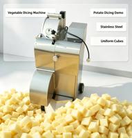 Coupe-légumes et fruits en cubes en acier inoxydable pour patates douces et mangues, 0,75 kW, 800 kg/h, usage domestique