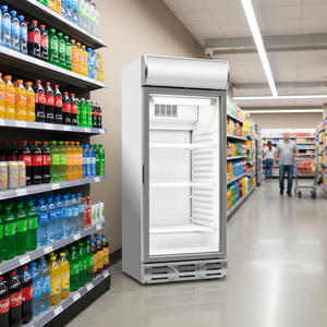 Refrigerador Exhibidor de Bebidas Klimasan de 257 L, Comercial, Vertical, de Una Puerta de Vidrio, Temperatura Única, Color Blanco, 220-240V, Clima B/C - Product Image 3