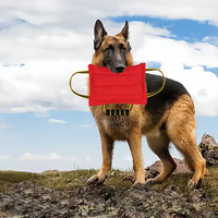 Coussin de mastication pour chien en chanvre dur, résistant aux morsures, jouet interactif d'entraînement, aide à l'éducation canine, jouet pour animaux de compagnie