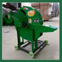 Broyeur Électrique Direct Usine de Pseudostèmes de Banane, Hachoir à Tiges de Plantain Haute Capacité pour Alimentation du Bétail (Porcs, Bovins, Ovins)