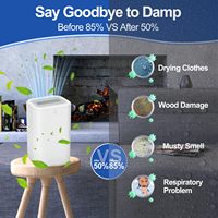 Déshumidificateur électrique portable USB 2023 pour tuyau d'eau externe, armoire sèche, climatiseur de voiture, déshydratant