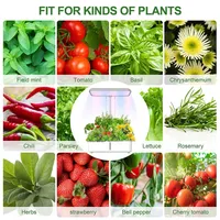Machine de plantation intelligente à arrosage automatique pour jardinage intérieur, système hydroponique WiFi avec lumière LED pour culture sans terre