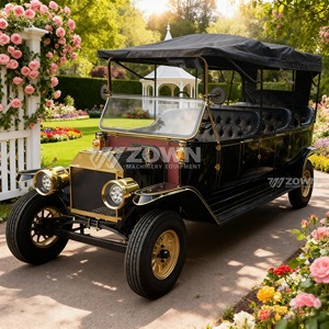 Coche Eléctrico Turístico Negro Vintage con Decoración Dorada para Servicio de Recorridos en Sitios Turísticos - Product Image 1