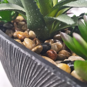 Arrangement décoratif en forme de bateau assorti Pot en ciment pour la maison, la <span class=keywords><strong>cuisine</strong></span>, le bureau Décor de graduation Vert pour étagère de bureau - Product Image 5