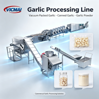 Machine industrielle automatique à grande capacité en acier inoxydable pour la séparation et le pelage continu de l'ail et des oignons