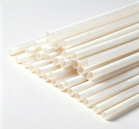 Pailles jetables biodégradables personnalisables en fibres végétales PLA et bagasse pour café, jus, bars et fêtes