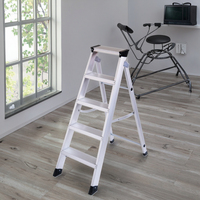 EN131 échelle pliante en aluminium standard industrielle pour escalier domestique pour salle de bain entrepôt cuisine salle de sport école hôpital TUV