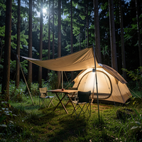 Lampe de barbecue rechargeable USB-C, lumière blanc chaud, étanche IP65, 300LM, LED COB, tête rotative à 360°, détachable, portable, 3 niveaux de luminosité