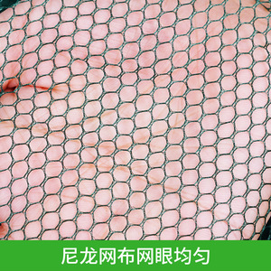 Filet de pêche pliable en nylon maillé, filet de bassin, filets pièges pour crevettes, anguilles, loches, filets de levage de type ouvert 80cm 100cm 150cm 200cm - Product Image 5