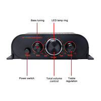 AK170 Amplificateur de Puissance Hifi 12V pour Maison et Voiture Stéréo Basse Audio Ampli Haut-parleur Classe D pour Son de Voiture et Maison