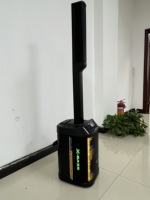 Columna de Sonido para Exteriores de 120W y 8 Pulgadas, Ideal para Fiestas y Conciertos, con Luces, Micrófono y Control Remoto