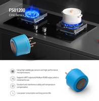 Fabricante Fosensor Sensores de gases inflamables de combustión catalítica Sensor de metano CH4 para detección de fugas de gas natural