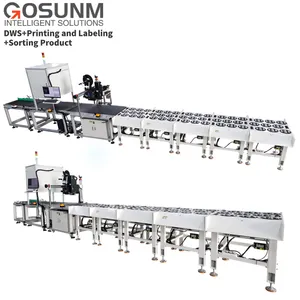 Parcel Sorting Machine Mail Sorting Courier Sorting Conveyor System For Post And Express Sorting With Dws