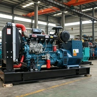 Générateur Diesel Ricardo Weifang à Tension Stable 1/3 Phase avec Garantie de 24 Mois, Moteur Diesel, Type Ouvert, pour Utilisation Extérieure