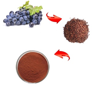 High Quality <strong>Grape</strong> <strong>Seed</strong> <strong>Extract</strong> Powder 95% OPC <strong>Proanthocyanidin</strong> Powder - Product Image 2