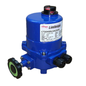 Valves Heads LTQ Compact Right Angle Rotary Actuator - Product Image 4