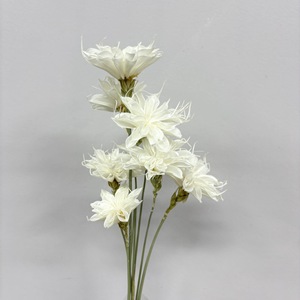 Fiori Secchi Naturali di Cereus Notturno, Bouquet Multicolore Fatto a Mano per Vasi, Decorazioni Floreali per Matrimoni - Product Image 6
