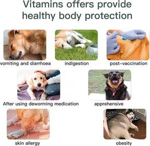 Evcil hayvan sağlık takviyeleri köpek Multivitamin yumuşak çiğniyor evcil hayvanınızın kaplamasını korumak için iştahı artırmak - Product Image 5