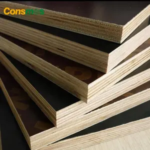 Wholesale China Film Faced Veneer Plywood Board Black/Green/Brown Birch Plywood