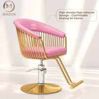 Chaise de coiffure professionnelle pour salon, dossier en fil d'acier, design moderne et minimaliste, base d'origine chinoise, pour permanentes, coloration et coupe de cheveux