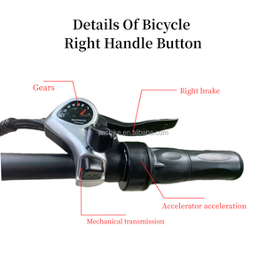 Vélo électrique pliable à pneus gras avec moteur de moyeu arrière en alliage d'aluminium à batterie au lithium <span class=keywords><strong>750W</strong></span>, 7 vitesses, pneus CST 20*4.0, 3 modes de conduite - Product Image 6