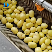 De Volautomatische Productielijn Van De Fabrikant Voor Frietjes En Frites Frituurtomatenverwerkingslijn
